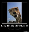 Фотография Хабибрахмановой Айгуль