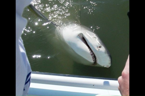 Данил Беляев фото №28