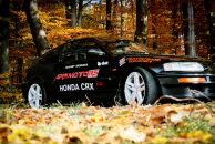 Назар Зіник фотография #44 (источник - https://vk.com/id8251396)