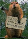 Фотография Борухи Александра