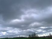 Фотография Борисова Алексея