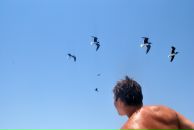 Фотография Петрова Серёги