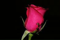 Діма Прокопчук фотография #10 (источник - https://vk.com/id147006226)