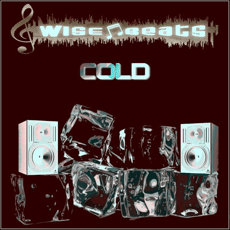 Wise Beats фотография #2