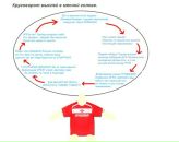 Тоха Перваков фотография #12 (источник - https://vk.com/id2521822)