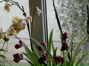 Вероніка Бендик фотография #17 (источник - https://vk.com/id121786032)