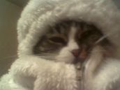 Фотография Липаевой Елены