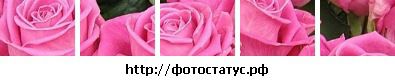 Надюшка Фіськович фотография #7 (источник - https://vk.com/id54711817)