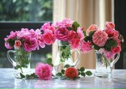 Ірина Козаченко фотография #8 (источник - https://vk.com/id125023794)