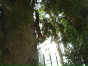 Иван Кузнецов фотография #9 (источник - https://vk.com/id98103)