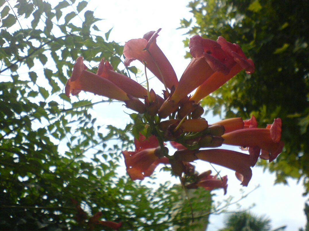 Иван Кузнецов фотография #27