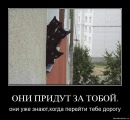 Фотография Рыкова Егорки