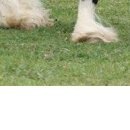 Олеся Вуйців фотография #49 (источник - https://vk.com/id74029763)