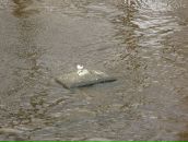 Дмитрий Варава фотография #43 (источник - https://vk.com/id13950972)