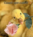 Володимир Підкова фотография #7 (источник - https://vk.com/id163030718)