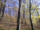 Анатолий Кучма фотография #22 (источник - https://vk.com/id85846513)