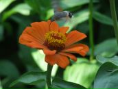 Дмитрий Дмитриченко фотография #43 (источник - https://vk.com/id5134906)