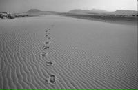 Фотография Китаевой Надежды