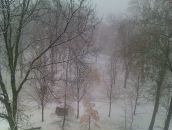 Вікторія Литовка фотография #23 (источник - https://vk.com/id42344904)