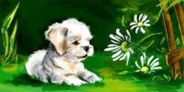 Фотография Черевко Виктории