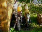 Paz Dva фотография #4 (источник - https://vk.com/id71891)