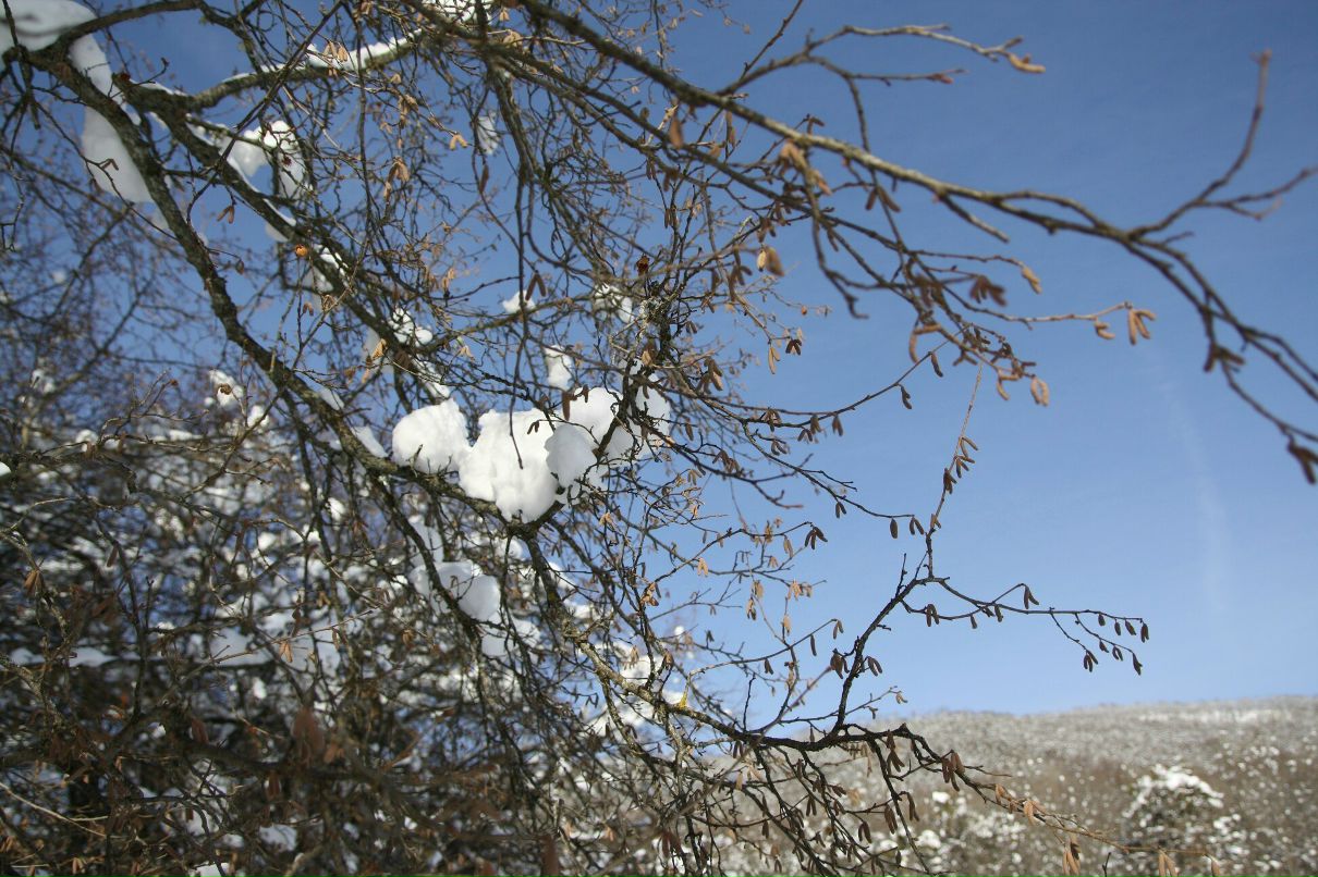 Дмитрий Нестеров фотография #50