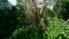 Георгий Никитенко фотография #38 (источник - https://vk.com/id2412298)