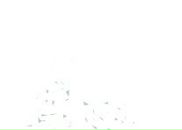 Фотография Алилуи Алика