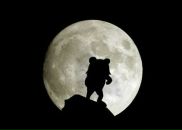 Uriel Papillon фотография #15 (источник - https://vk.com/id2909966)