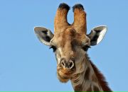 Фотография Михац Светланы