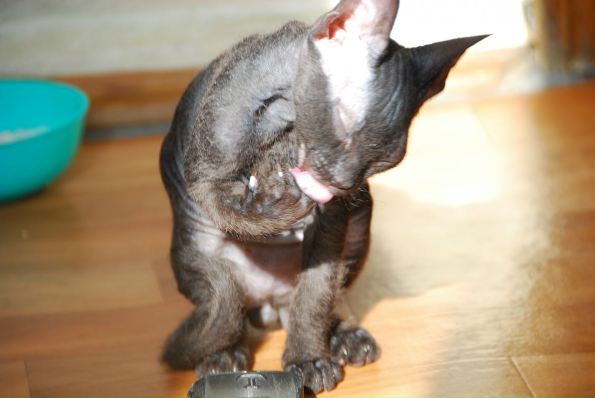 Даниил Стариченко фотография #43