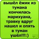 Олександр Остапів фотография #36 (источник - https://vk.com/id30074386)