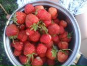 Тимур Валиахметов фотография #42 (источник - https://vk.com/id18361231)