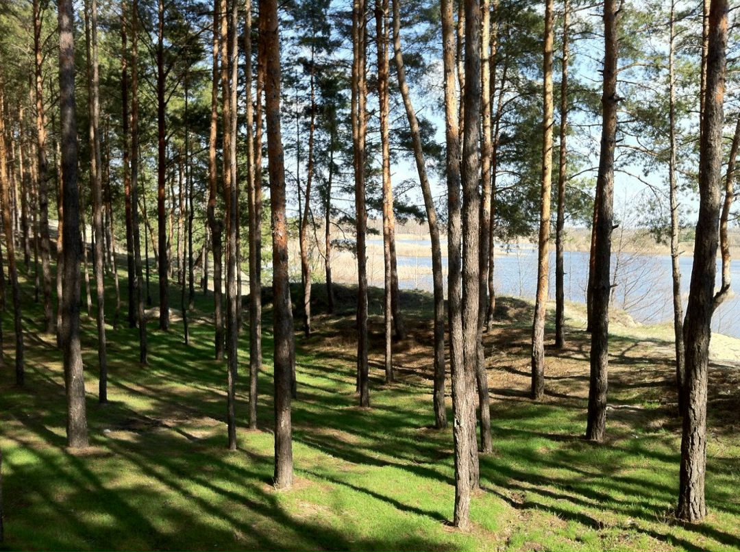 Александр Елетин фотография #13