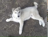 Дмитрий Винник фотография #16 (источник - https://vk.com/id26933235)