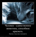 Владік Голод фотография #33 (источник - https://vk.com/id110295605)