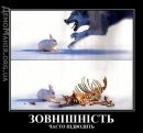 Євген Дмитришин фотография #16 (источник - https://vk.com/id161115809)