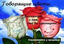 Алінусік Ковальчук фотография #35 (источник - https://vk.com/id150878634)