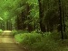 Сергій Чорний фотография #12 (источник - https://vk.com/id93072625)
