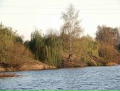 Рю Мураками фотография #13 (источник - https://vk.com/id2067589)