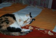 Юрій Дацько фотография #44 (источник - https://vk.com/id9641386)