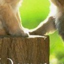 Ліля Радецька фотография #5 (источник - https://vk.com/id155361223)