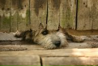 Фотография Богдановой Анны