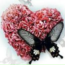 Єлєна Васко фотография #22 (источник - https://vk.com/id67605625)