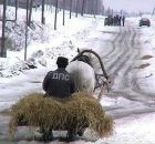 Ростік Малюк фотография #13 (источник - https://vk.com/id162271021)