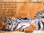 Фотография Колесовой Юлии