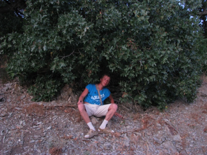 Дима Стороженко фотография #1