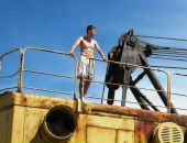 Фотография Бушуева Дмитрия