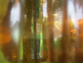 Фотография Курочкиной Татьяны