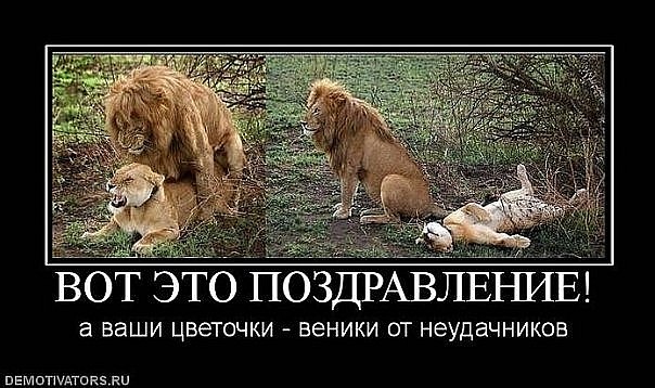 №5, Александр Сумин №5, Александр Сумин